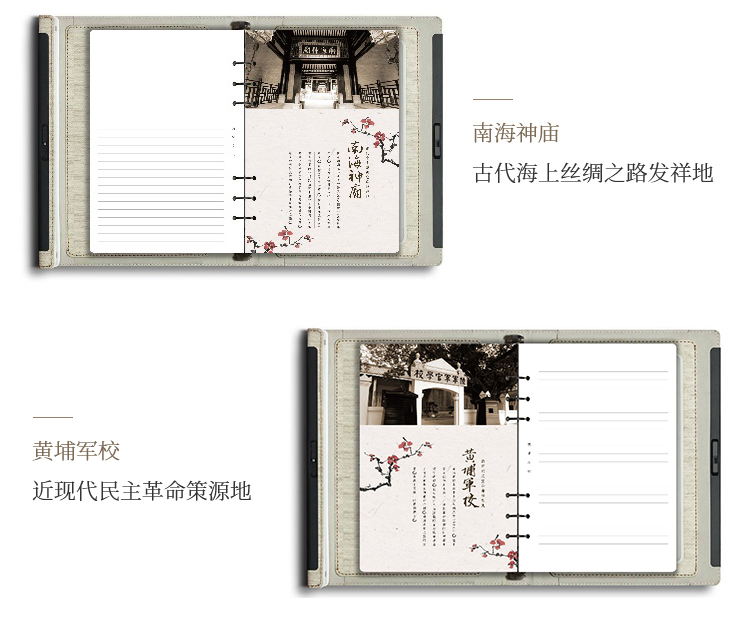 zhixin1_03.jpg