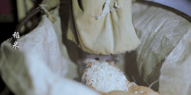 19.gif 19.gif