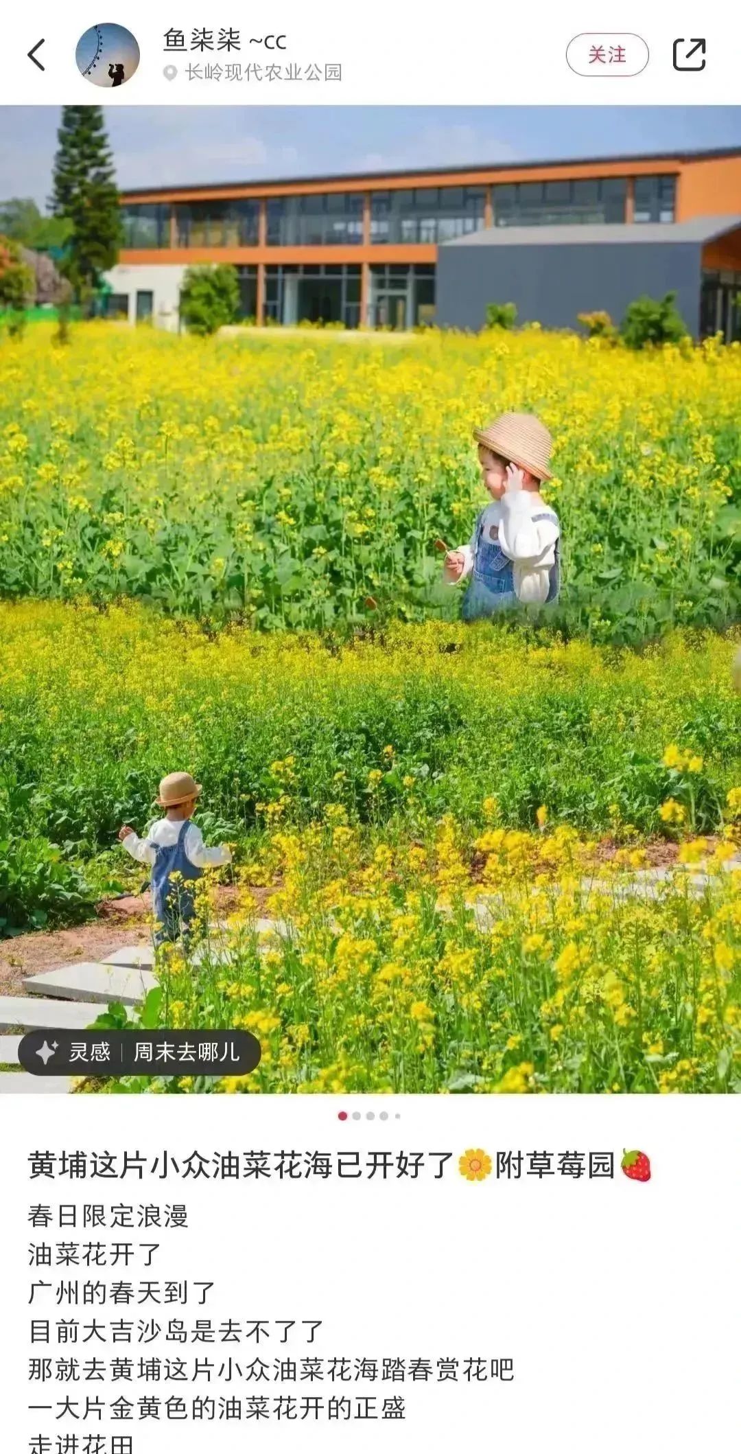 4.jpg 4.jpg