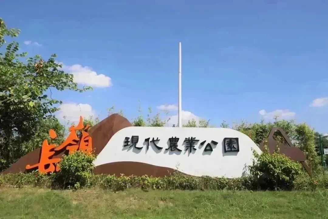 9.jpg 9.jpg